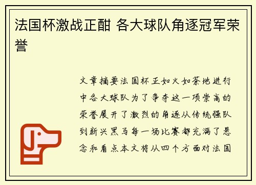 法国杯激战正酣 各大球队角逐冠军荣誉